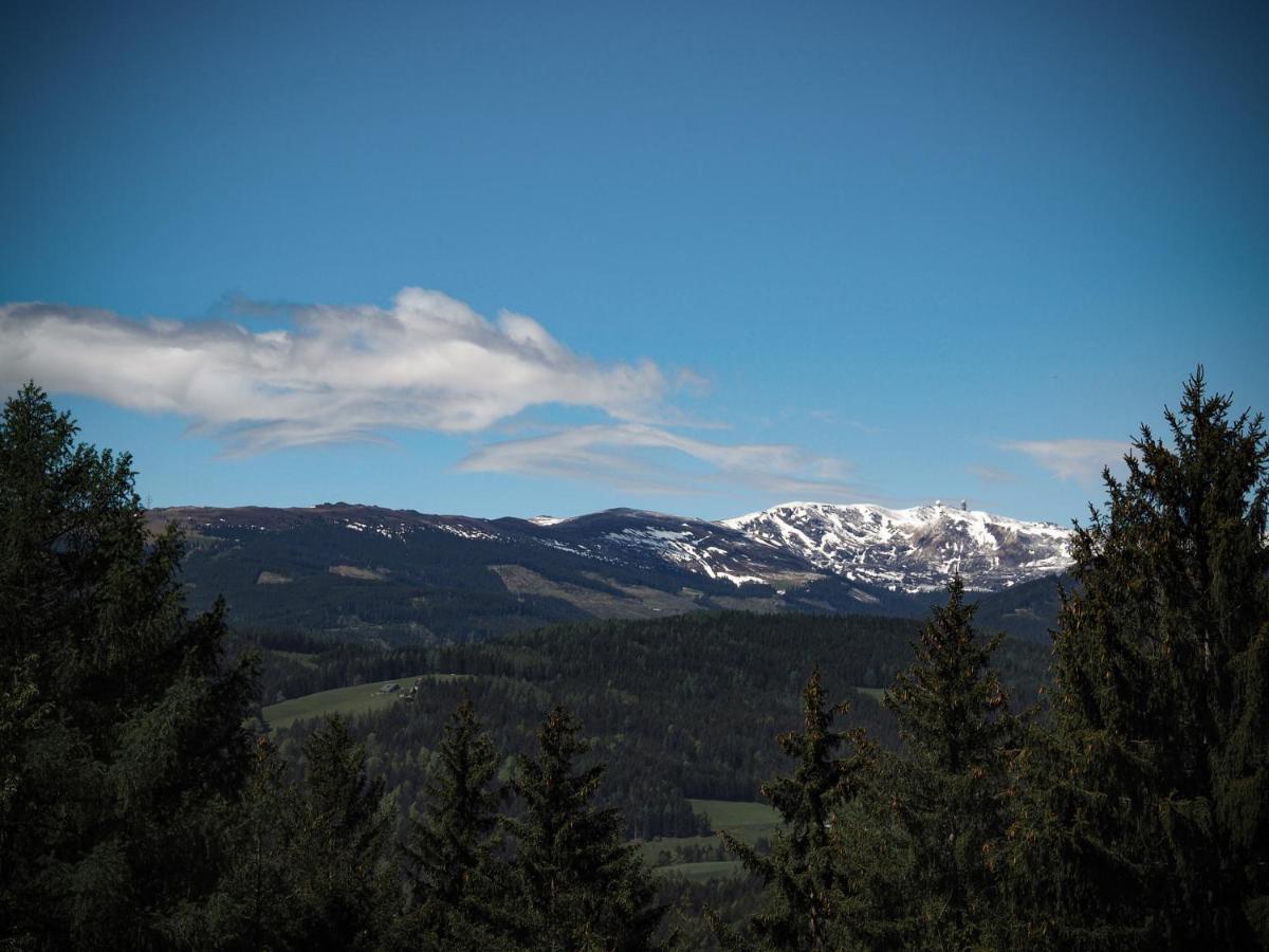 Koralpenchalet...sonne, Wald, Natur! Holiday home *